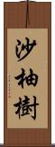 沙柚樹 Scroll