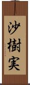 沙樹実 Scroll