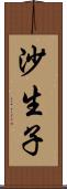 沙生子 Scroll