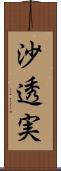 沙透実 Scroll