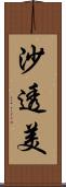 沙透美 Scroll