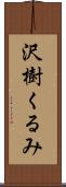 沢樹くるみ Scroll