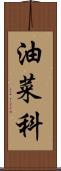 油菜科 Scroll