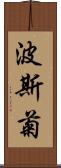 波斯菊 Scroll