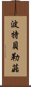 波特貝勒菇 Scroll