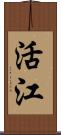 活江 Scroll
