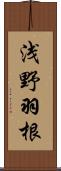 浅野羽根 Scroll