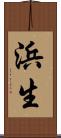 浜生 Scroll
