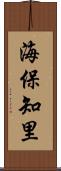 海保知里 Scroll