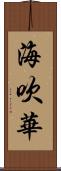 海吹華 Scroll