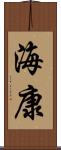 海康 Scroll