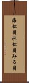 海松貝 Scroll