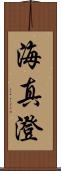 海真澄 Scroll