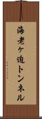 海老ヶ迫トンネル Scroll