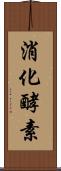 消化酵素 Scroll