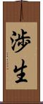 渉生 Scroll
