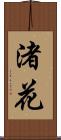 渚花 Scroll