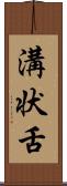 溝状舌 Scroll