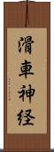 滑車神経 Scroll
