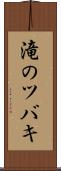 滝のツバキ Scroll