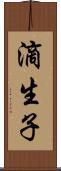 滴生子 Scroll