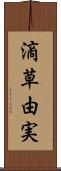 滴草由実 Scroll