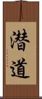 潜道 Scroll
