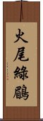 火尾綠鶥 Scroll