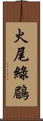 火尾綠鶥 Scroll