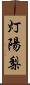 灯陽梨 Scroll