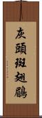 灰頭斑翅鶥 Scroll