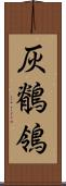 灰鶺鴒 Scroll