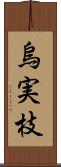 烏実枝 Scroll