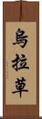 烏拉草 Scroll