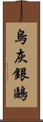 烏灰銀鷗 Scroll