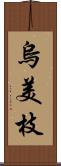 烏美枝 Scroll