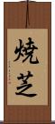 焼芝 Scroll