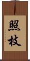 照枝 Scroll