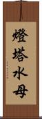 燈塔水母 Scroll