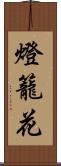 燈籠花 Scroll