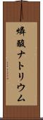 燐酸ナトリウム Scroll