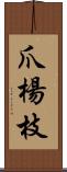 爪楊枝 Scroll