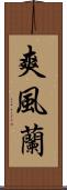 爽風蘭 Scroll