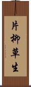 片柳草生 Scroll