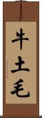 牛土毛 Scroll