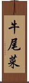 牛尾菜 Scroll