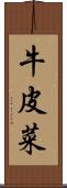 牛皮菜 Scroll