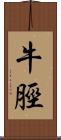 牛脛 Scroll