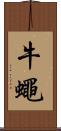 牛蠅 Scroll