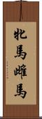 牝馬 Scroll